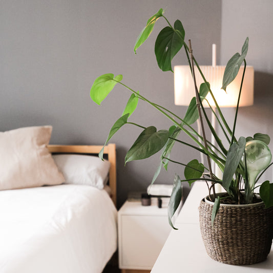 Usually people are accustomed to single waterproof mattress protector on the bed surface