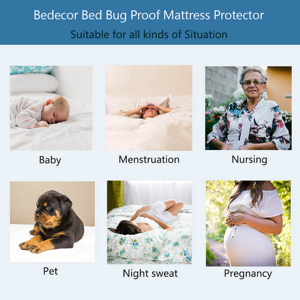 cotton terry waterproof mattress cover suitable for all kinds of situation